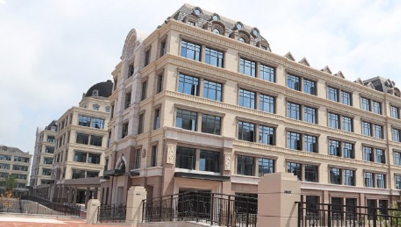 合肥新华公学 DSE课程